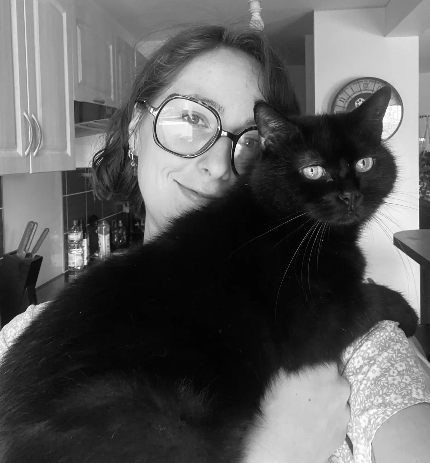 comportement chat comportement chat